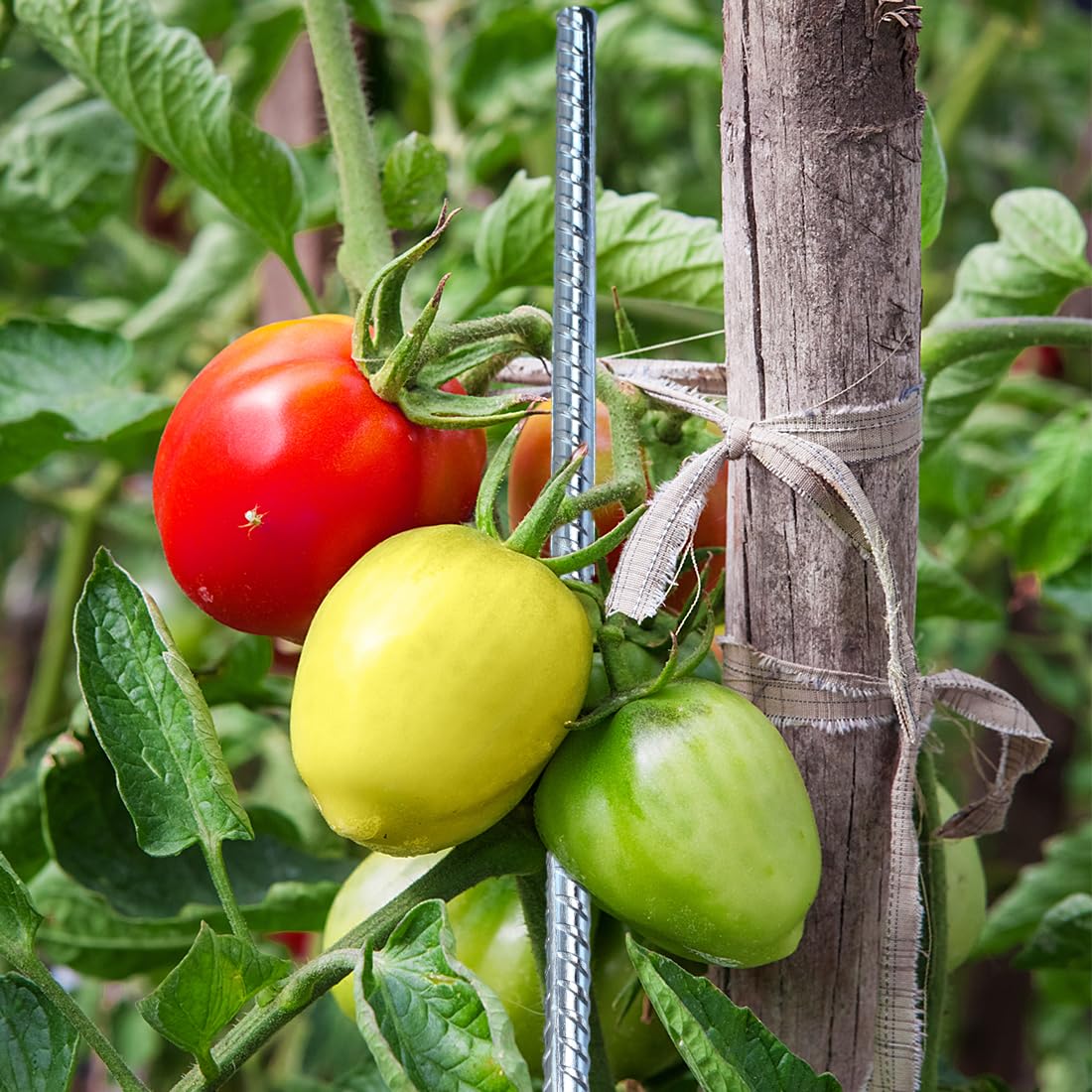 5 Piquets De Sol En Acier Galvanisé – 38 Cm, Pointe Tranchante, Anti-Rouille – Pour Tente, Trampoline, Jardin, Camping