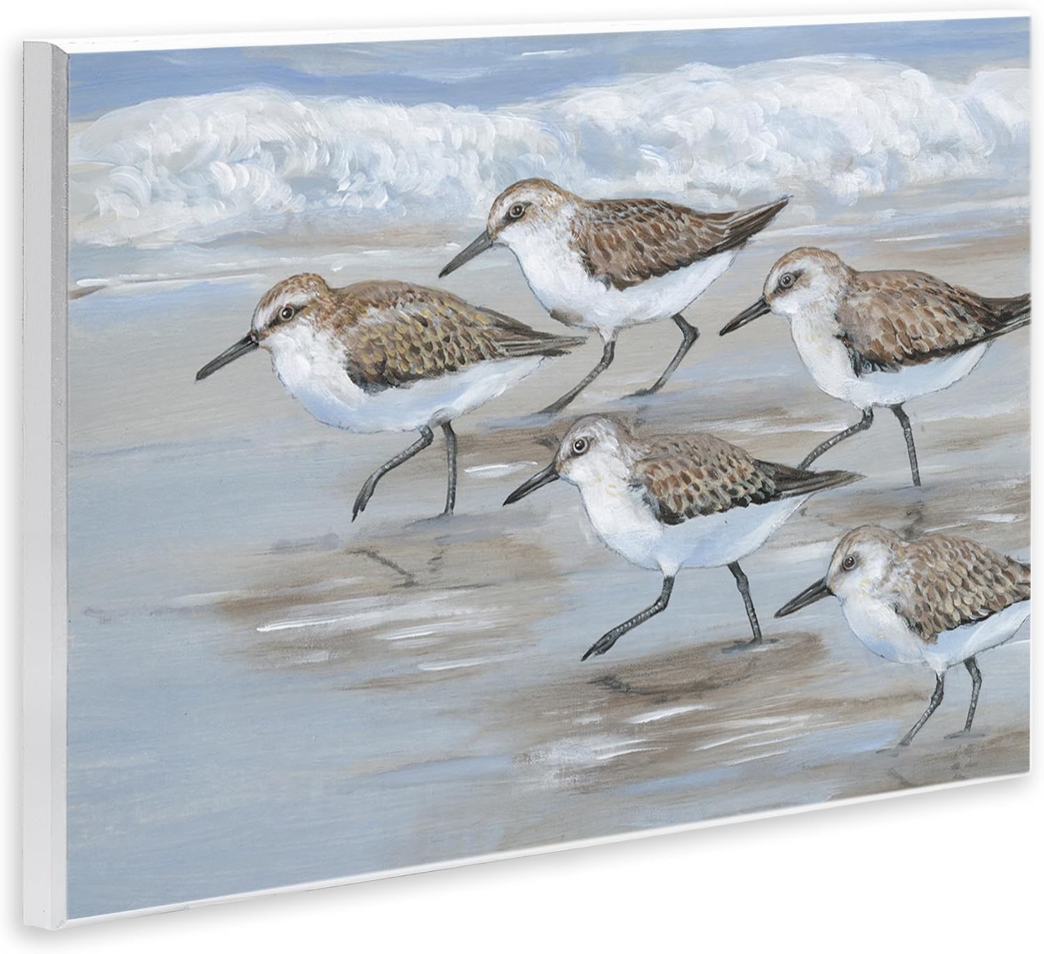 Stupell Industries 'Sandpiper Bird Flock Marching Beach Coast Waves ', Wall Plaque Art, 15 x 10 Inches, Easy to Hang and Sturdy, Made in USA, by Tim O'Toole