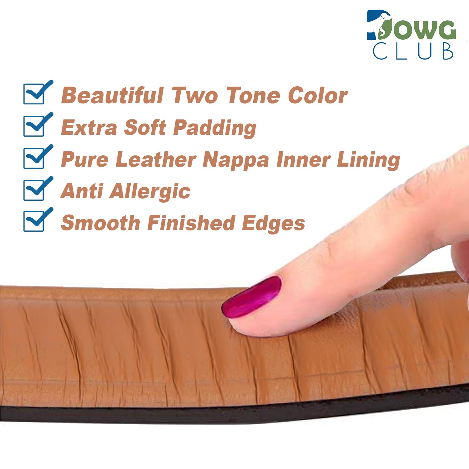 DowgClub | Genuine Leather Dog Collar | Full Grain, Heavy Duty | Padded, Comfortable, Strong | Best for Pups, Small, Medium, Large, X- Large Dog Breeds, (Medium (Fit Neck Size 14.5"-18.5"), Brown)