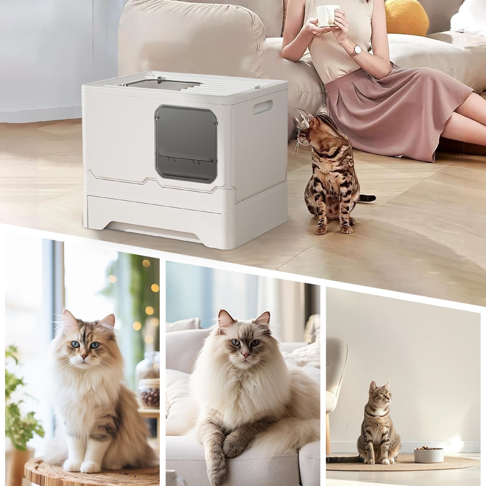 de para Gatos, de para Gatos con cajón y Pala | de para gatos, bandeja de , de para gatos con cajón y pala para gato