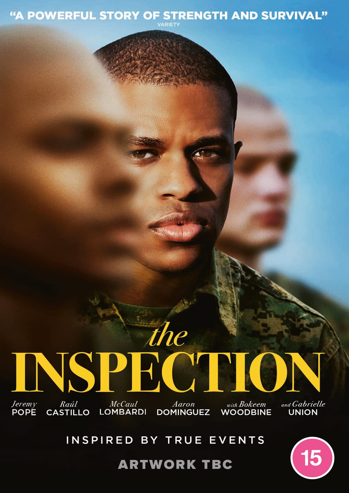 The Inspection