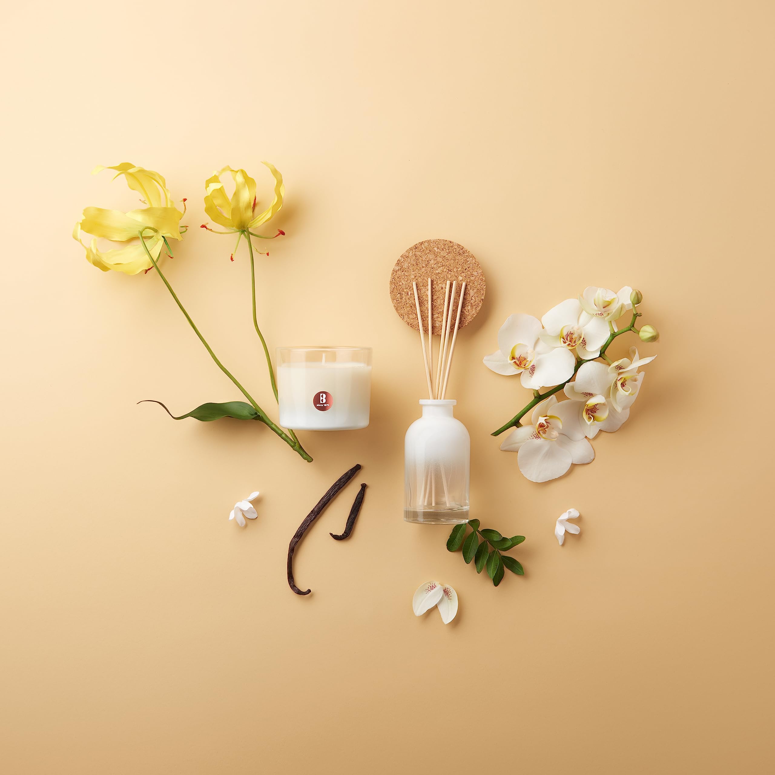 Bolsius - True Joy Set regalo – Candela profumata e bastoncini profumati – Vanilla Delight – Candele decorative per la casa – Lunghezza durata – Contiene cera vegetale naturale – Senza olio di palma