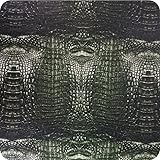 HYDRA WATER TRANSFER PRINTING