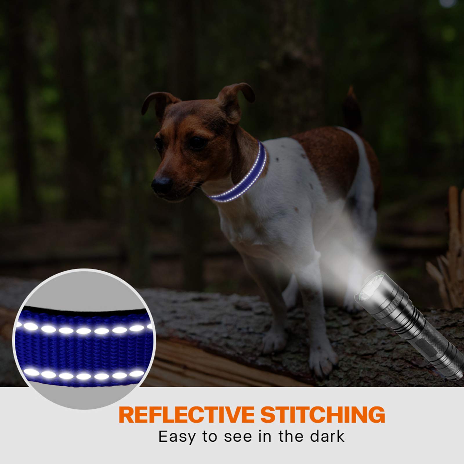 Taglory collare per cani, Imbottito Nylon Regolabile Traspirante Riflettente Collari per Cani di Taglia Piccola, Blu Scuro