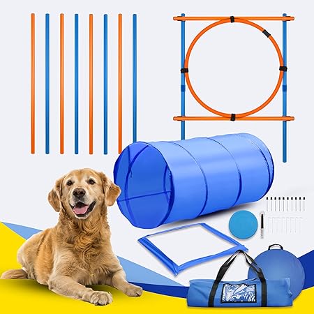 Dog trick training equipment Clearance