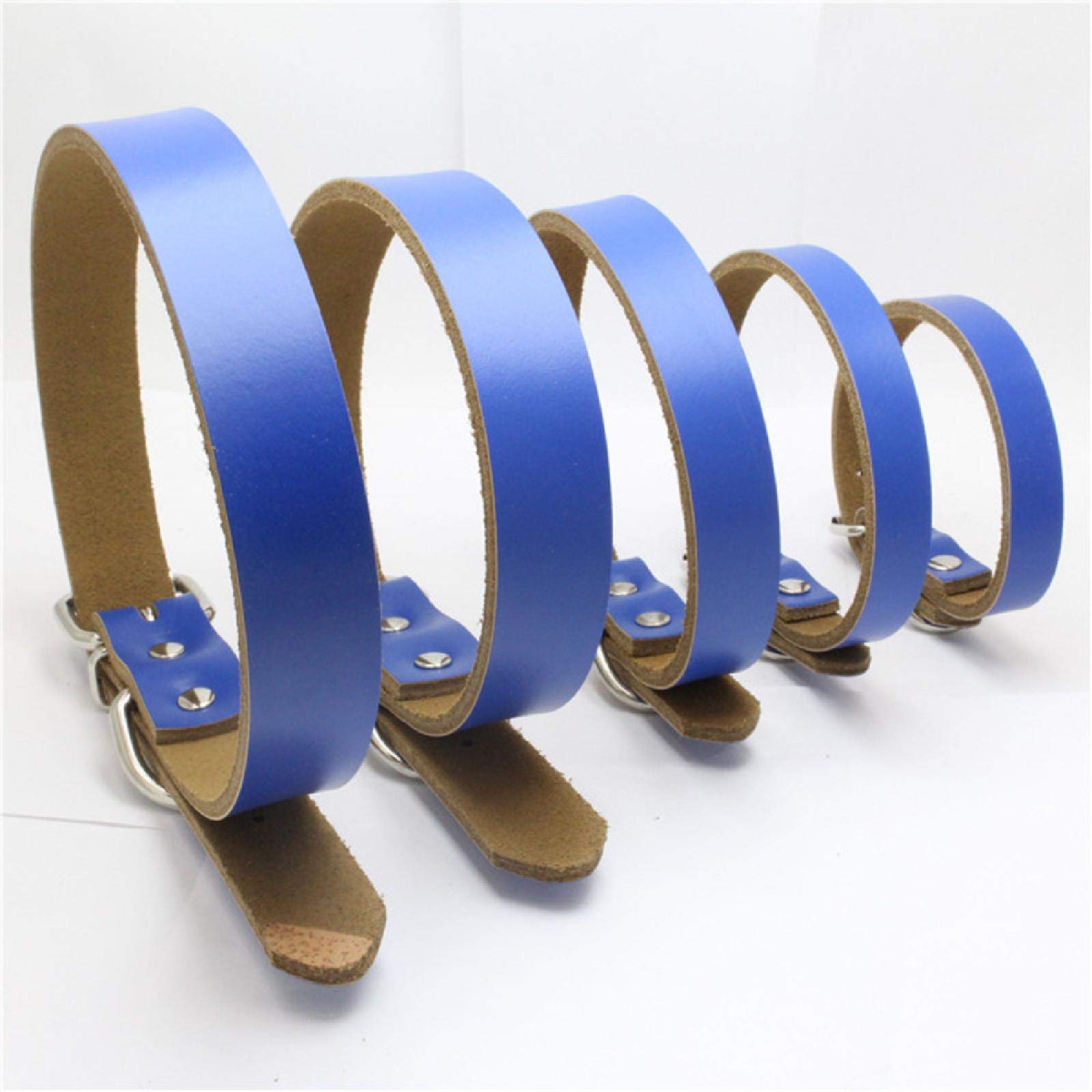 Maul Hondenhalsband Teckel Donkerblauw