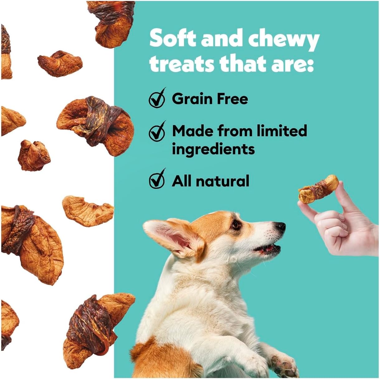 Wiggles & Wags Chicken & Apple Twists Dog Treats, 16 oz, with DN Essentials Bone Shaped Waste Bag Dispenser & Free Roll