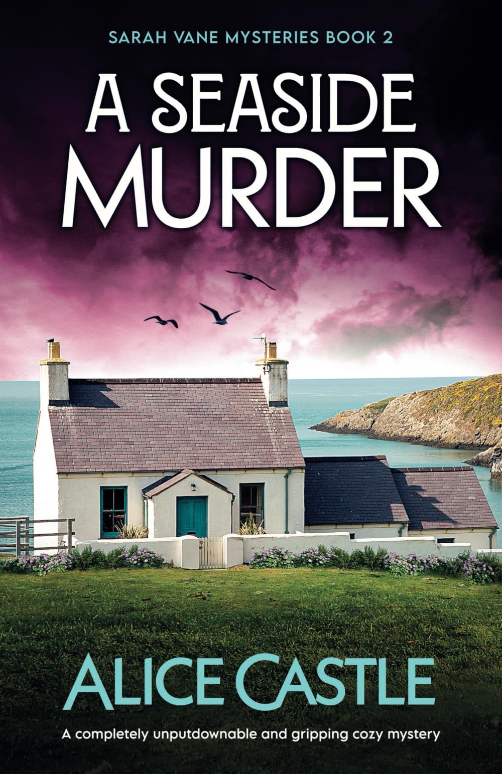 A Seaside Murder: A completely unputdownable and gripping cozy mystery (Sarah Vane Mysteries)