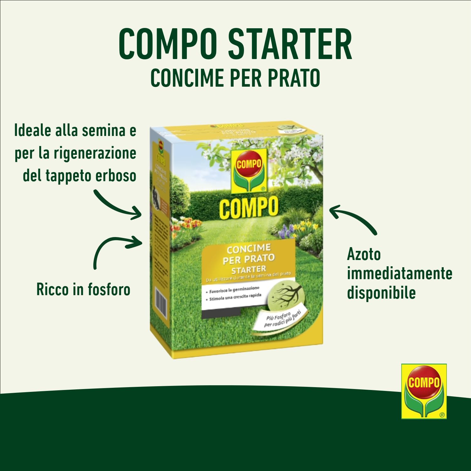 COMPO Concime per Prato Starter, Per la Semina e la Rigenerazione di Tappeti Erbosi, Per Radici Più Forti, 2,5 kg