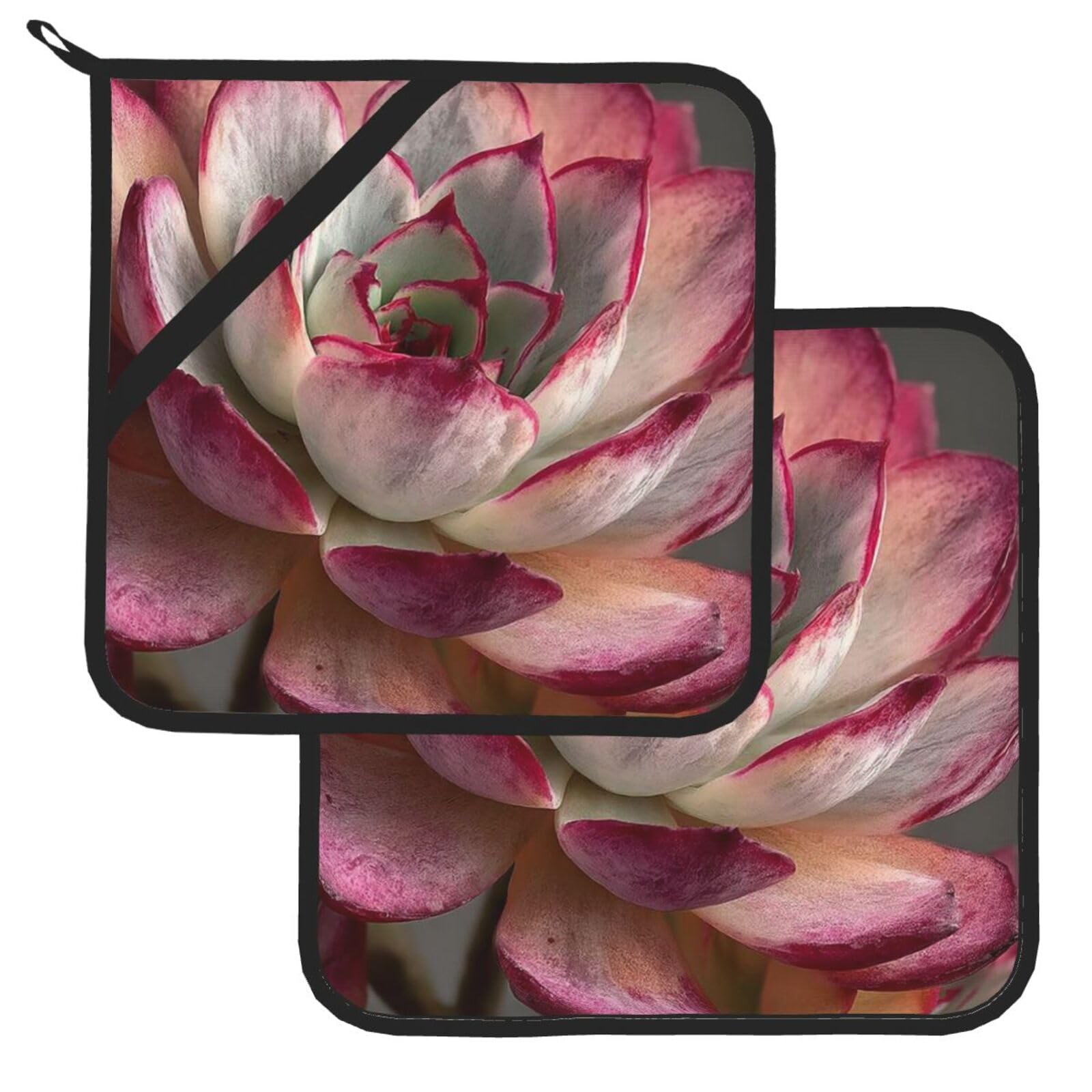 Pot Holder Set of 2 Heat Resistant Potholders Succulent Pot Holders Non Slip Kitchen Trivets Cooking Hot Potholder Washable Oven Mitts Oven Hot Pads for Kitchen Baking BBQ