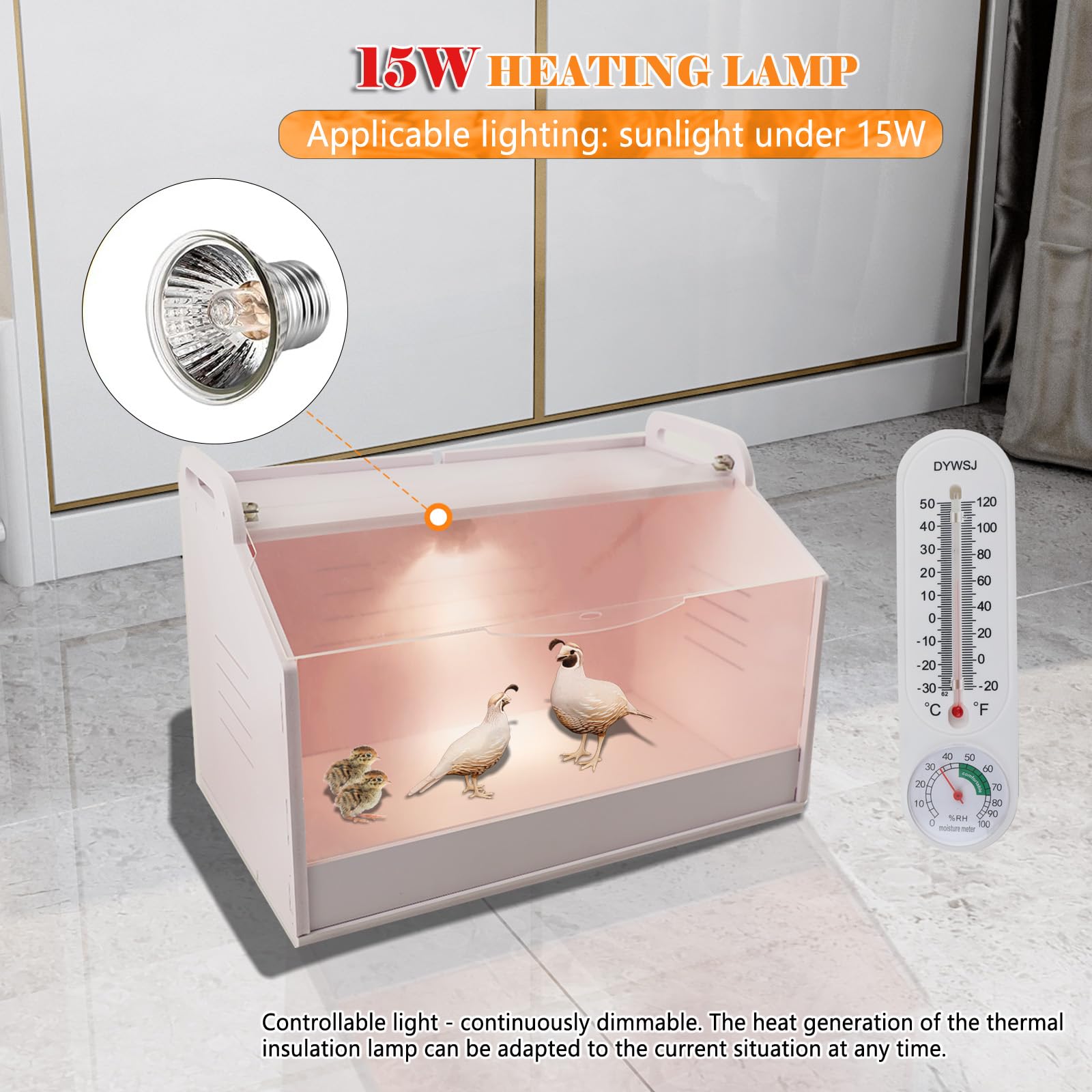 Incubatore per Pulcini con Termometro e Lampada, Scatola di Calore per Pulcini, Scatola di Allevamento per Pollame, Rettili e Piccoli Animali 220V