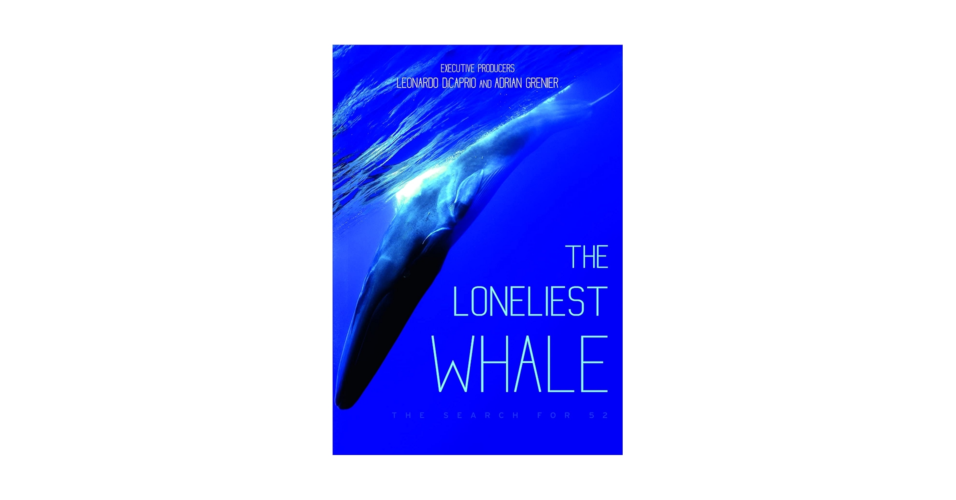 その他 North Atlantic&#39;s Most Endangered Whales [DVD] 51xi7YbcXuL._AC_SY200_QL15_.jpg