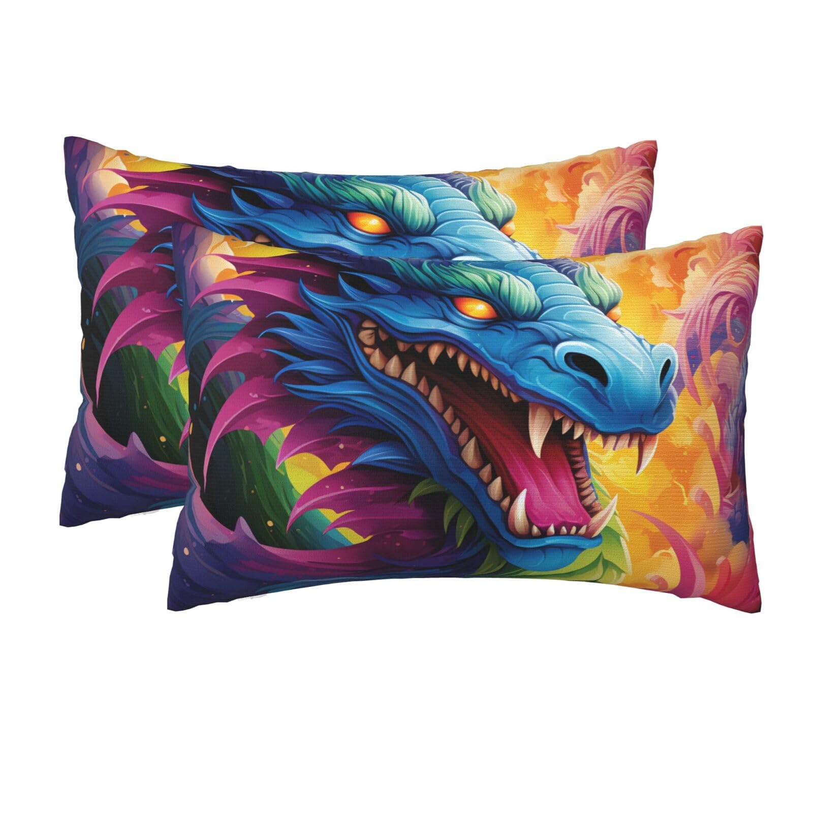 2 Pack Queen Size Pillow Cases for Hair and Skin Soft Breathable Pillow Case Covers with Hidden Zipper Colorful of Dragons Pillowcase 20x30 Inches Pillow Cover for Sleeping Gift