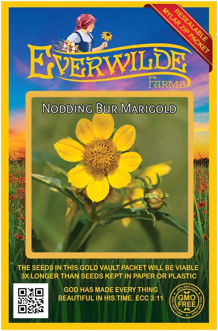 Everwilde Farms - 1 Oz Nodding Bur Marigold Native Wildflower Seeds - Gold Vault