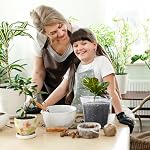 GREANER Clear Plant Pots, Plastic Planters for Indoor Plants, Seed Starting Pot with Drainage Holes, 4/5/6/7/8 Inch(10 Packs)