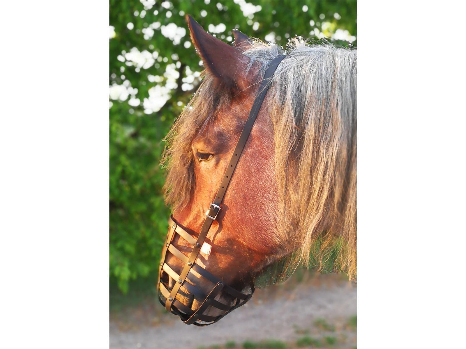 Fressbremse Strong Schwere Warmblüter und Kaltblüter mit Kehlriemen und Standartbodenplatte