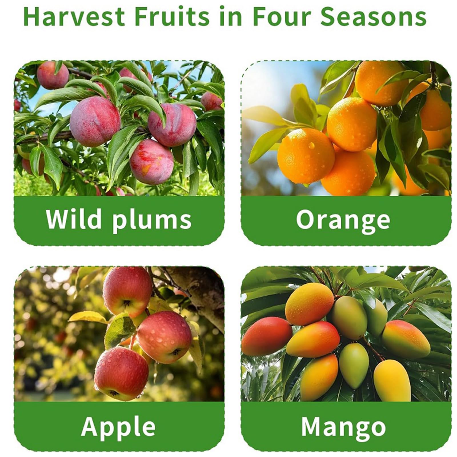 Herramienta de recolección de frutas comercial, mango ajustable de acero inoxidable y cabeza de metal para recoger árboles Farmpark, recogedor de frutas con cesta extraíble
