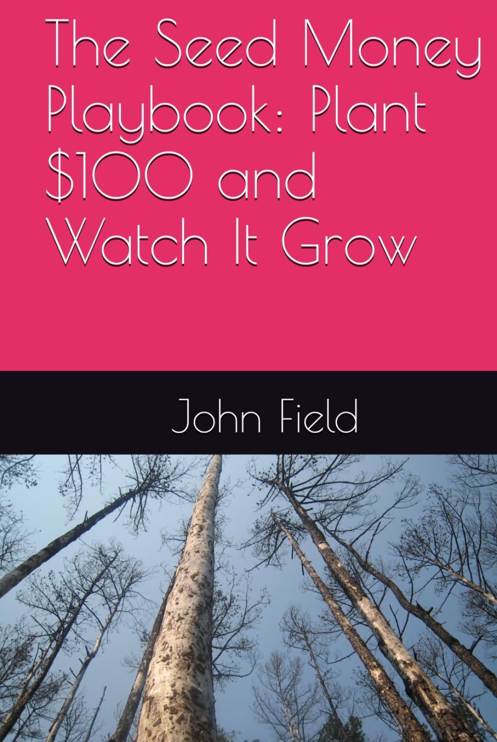The Seed Money Playbook: Plant $100 and Watch It Grow