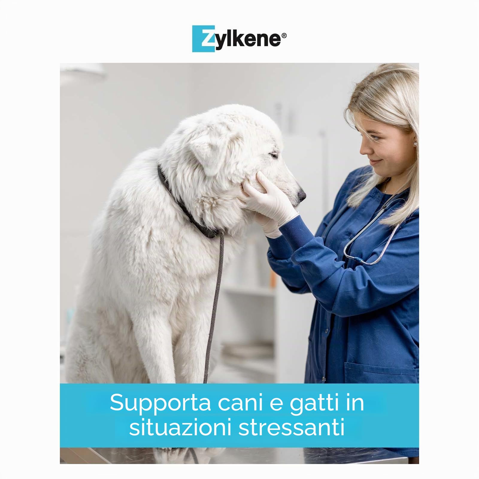 ZYLKENE® Capsule (100 x) per ridurre lo stress, mangime complementare per un maggiore benessere in situazioni non familiari, per cani da 15 kg a 60 kg | 450 mg