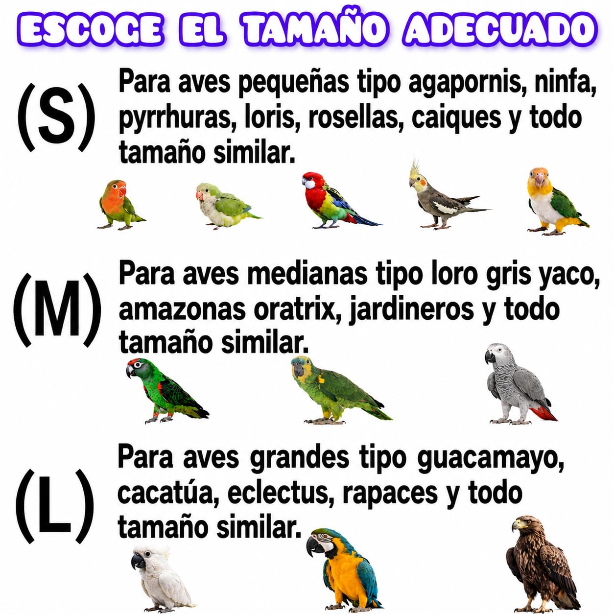 Trípode para Loro yaco, Amazonas, Percha de Vuelo Libre y antiestrés de Aves alejandrinas, posadero de Madera Natural, Juguete Entrenamiento de Loro, Accesorio Reposo de pájaros, (M)