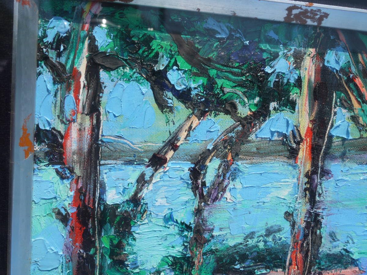 Amazon.co.jp: 2Ju29 O横山央児 油彩画「松島 双観山にて」F4号 額装