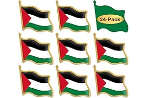 Palestinian Flag Pin for Displaying National Pride