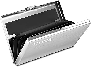 Storite 6 Slots RFID Protected Metal Credit Card Holder Wallet for Men & Women (Silver Matt Finish-9.5 x 1.3 x 6.5 CM)