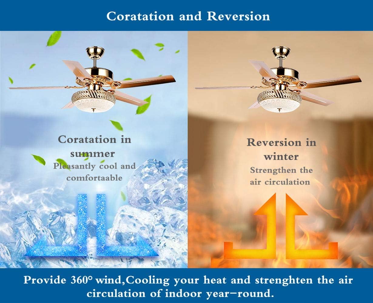 Frее Shірріng оƒƒеr Morpholife Metal Led Ceiling Fan With Remote Control 1 Glass Light Cover Home Decoration Living Room Bedroom 5 Reversible Blades Quiet Fans Chandelier Rose Gold