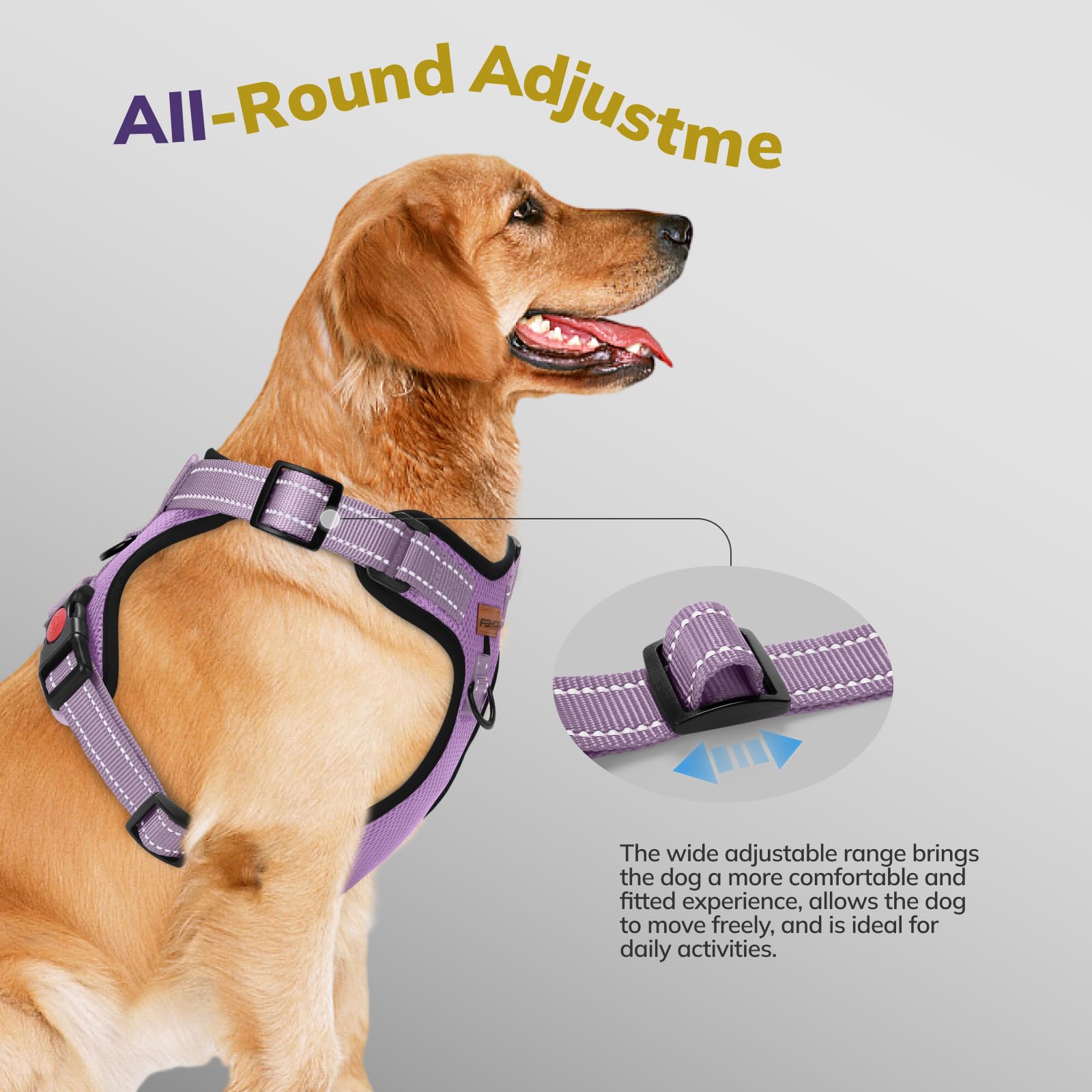 FAYOGOO Pettorina Cane, Pettorina Cane Taglia Media Regolabile, Traspirante Pettorina Cane Taglia Grande con Guinzaglio, Pettorina Antifuga Cane per la Corsa, Passeggiate, Jogging (Viola, M)