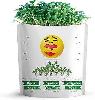 EMOJI HUG Greeting Card by GIFT A GREEN | Greeting Cards with Organic Microgreens! Just Like Post Cards, Simply Mail and Recipient Gets to Grow & Eat | Greeting Cards for All Occasions | 1 PACK
