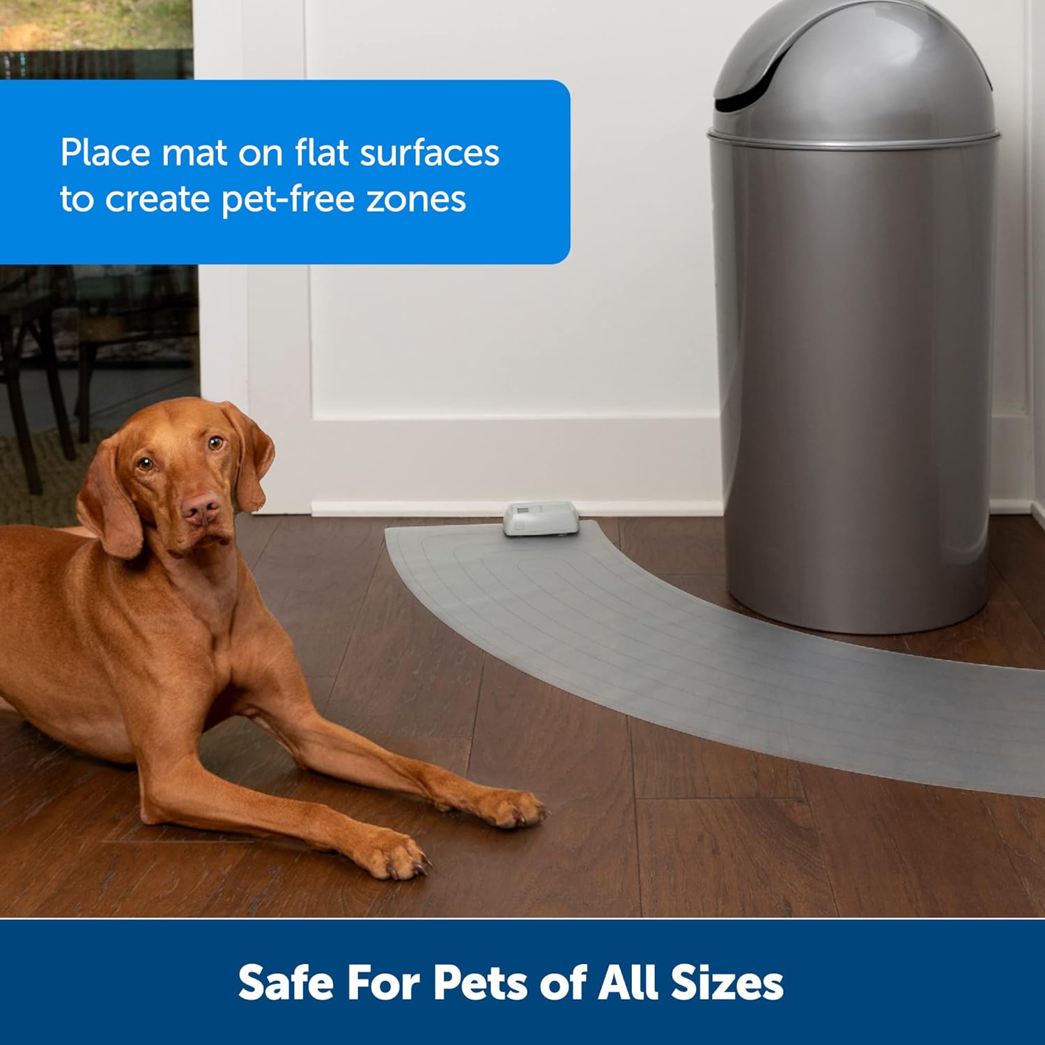 PetSafe ScatMat Indoor Training Mat, 7 Correction Modes, Protect Your Furniture, Training Tool for Dogs and Cats, Curved Size Mat (50 in X 12 in) - Pet Proof Around Areas - Battery-Operated Mat : Pet Supplies