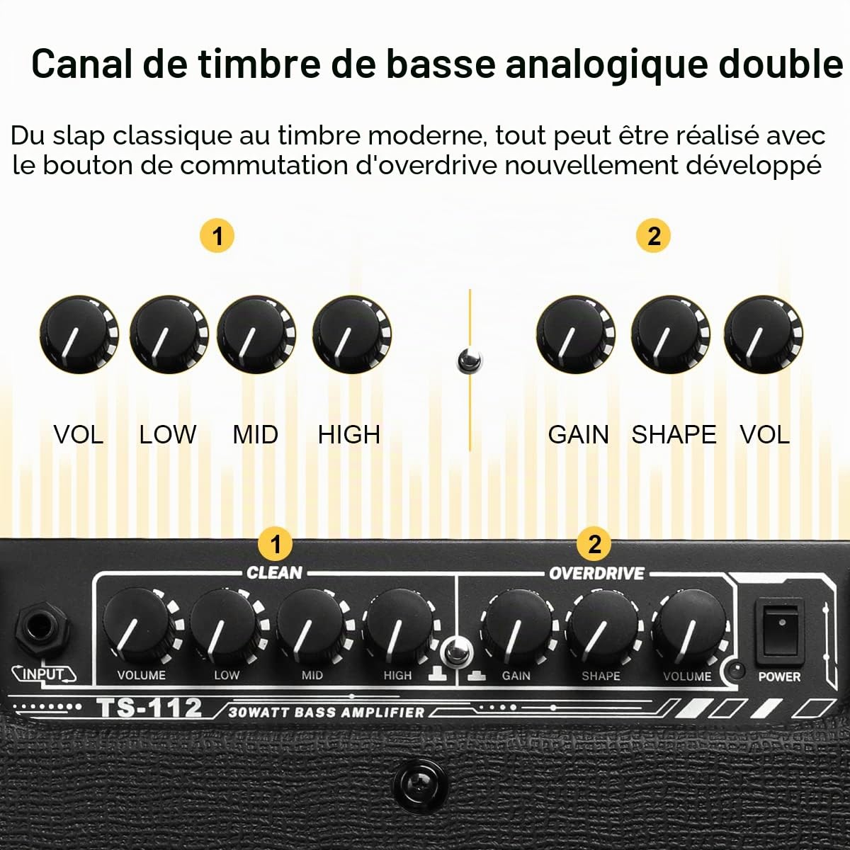 TS112 Amplificateur pour basse électrique 30 W Amplificateur combo pour basse avec Overdrive intégré Clean et Distortion Double commutation de tonalité Pratique