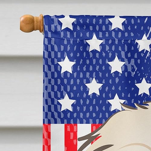 Vista 454 de Caroline's Treasures BB2171GF American Flag and Border Collie Garden Flag Mailbox Flag Decorative Yard Flag Banner Outside Patio Artwork Yard Flower