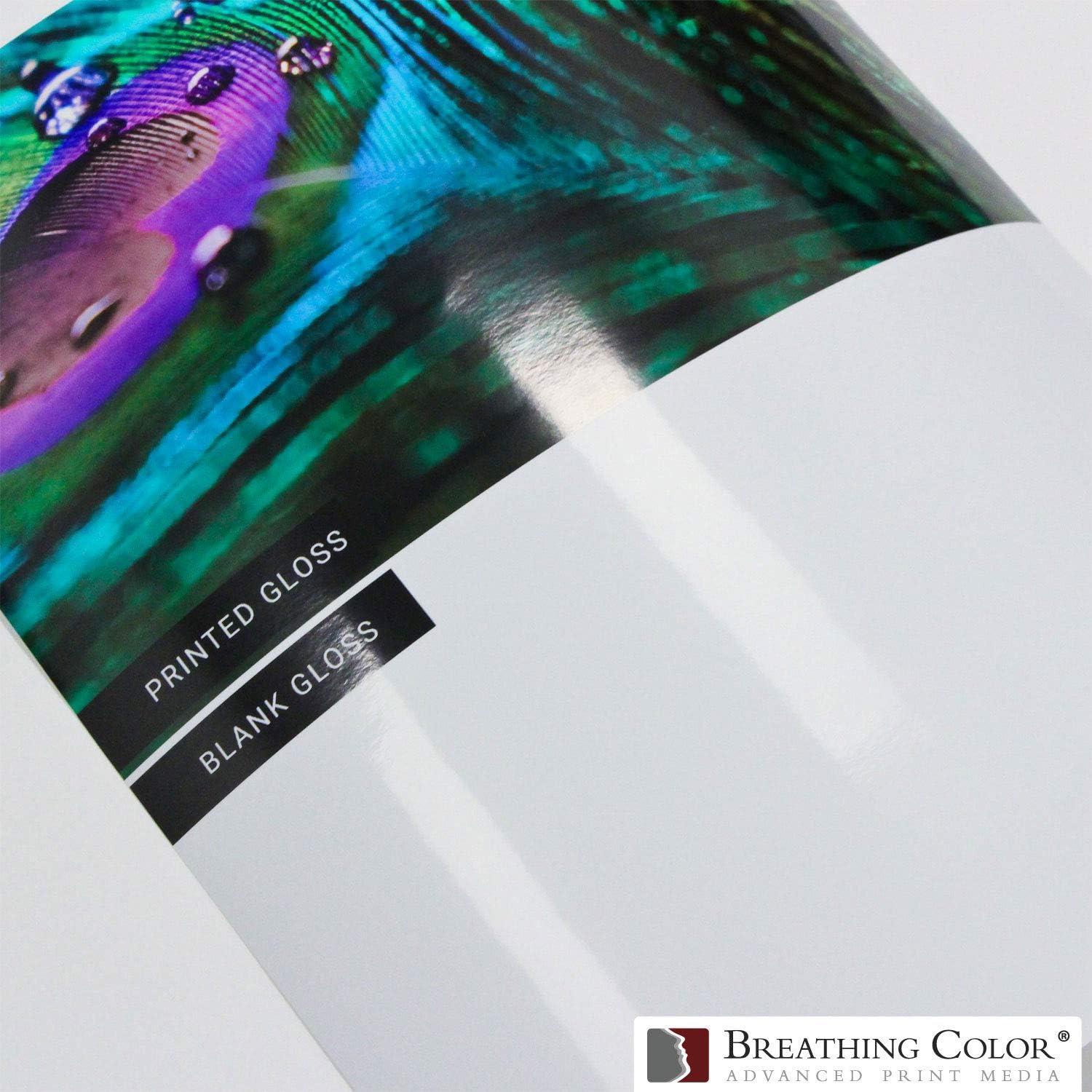 Vibrance Gloss Photo Printer Paper 10 mil 255 gsm Glossy Finish Premium Photo Paper Sheets 17 inches x 22 inches 50 sheets Works with All Inkjet Printers Including Professional Makes and Models