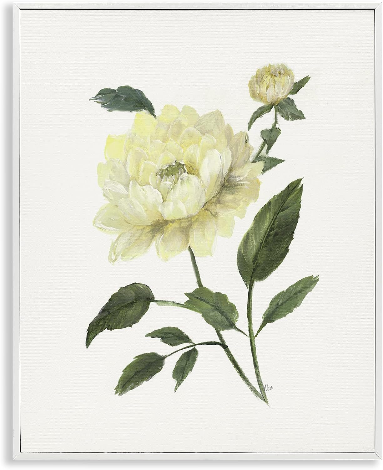 Cream Garden Peony Botanical, 16 x 20 Inch Framed Giclée Print | Stupell Industries · By Nan · Ready to hang · Great for family room or guest room · Made in USA