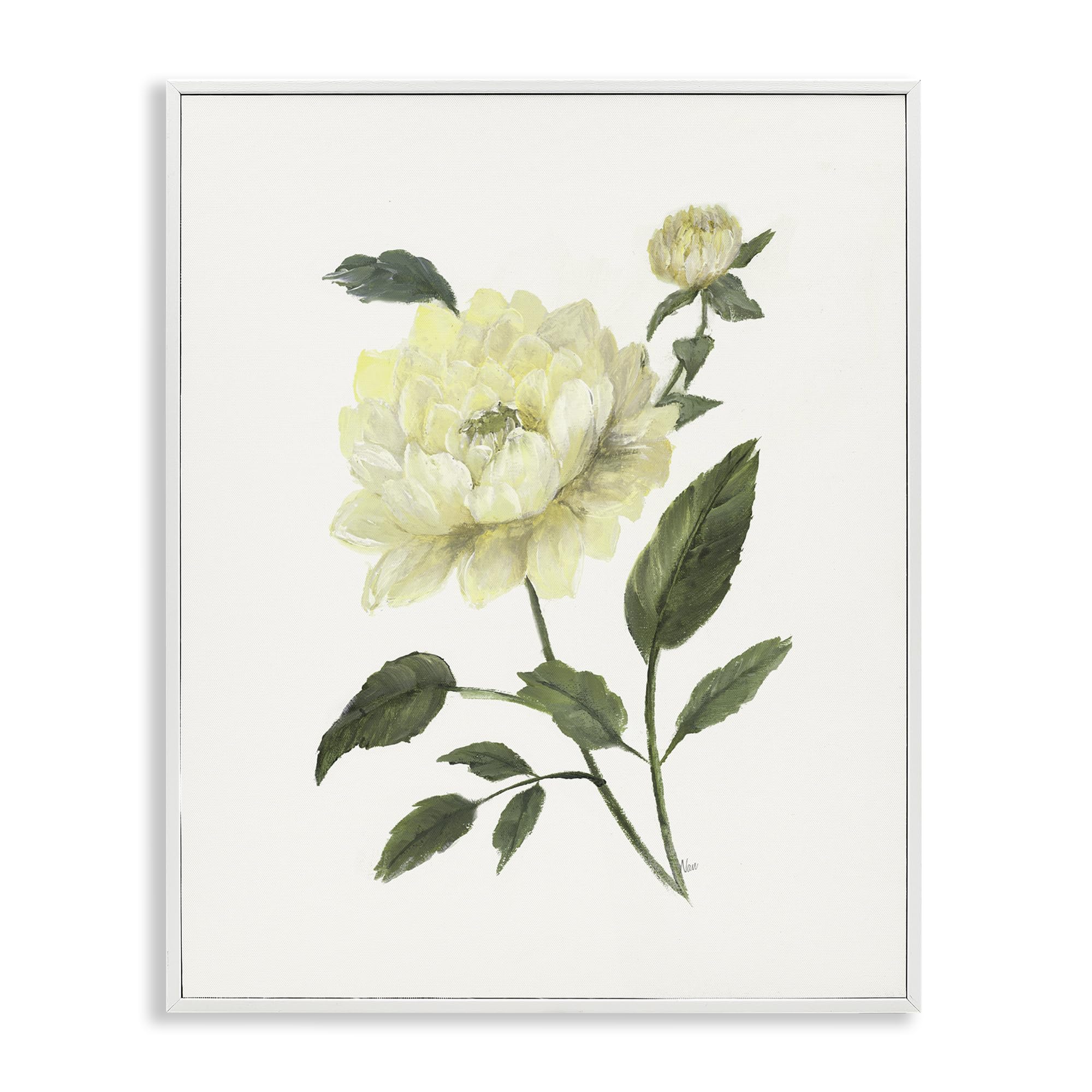 Stupell Industries Coastal White (Textured) Cream Garden Peony Botanical, 16 X 20 Inch Framed Giclée Print