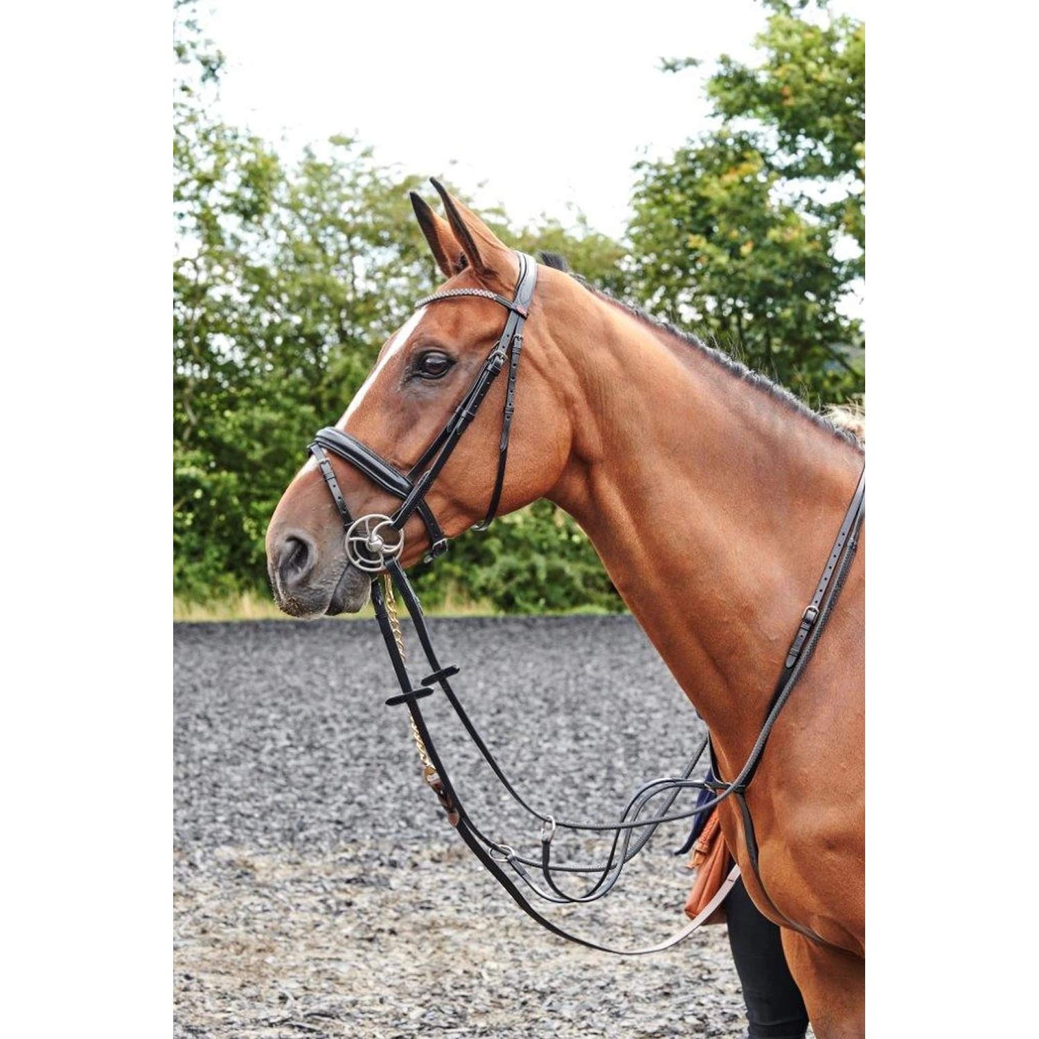 John Whitaker Barton Raised Flash Bridle Bridles Bridles