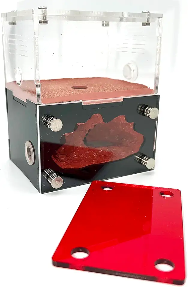 formigueiro, formigueiro, formigueiro para formiga, casa de estudo do comportamento das formigas, formigueiro pequeno.