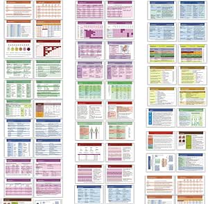 Amazon.com : MOMOZEE Complete (32 pcs) Nurse Student Reference Card Set ...