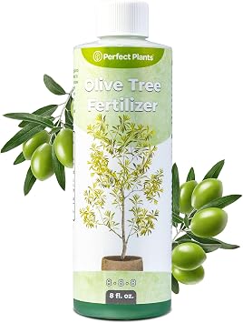 Liquid Olive Tree Fertilizer by Perfect Plants | Olive Plant Food for Real Indoor Trees or Outdoor Growing | High Level Nutrient Content to Boost Flowering & Fruit Production