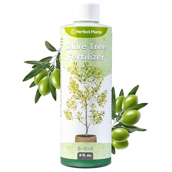 Perfect Plants Olive Tree Fertilizer, 8 oz, Liquid Plant Food | 8-8-8 blend with iron, boron and zinc for Arbequina, Manzanillo and Mission, mix 2 teaspoons per gallon