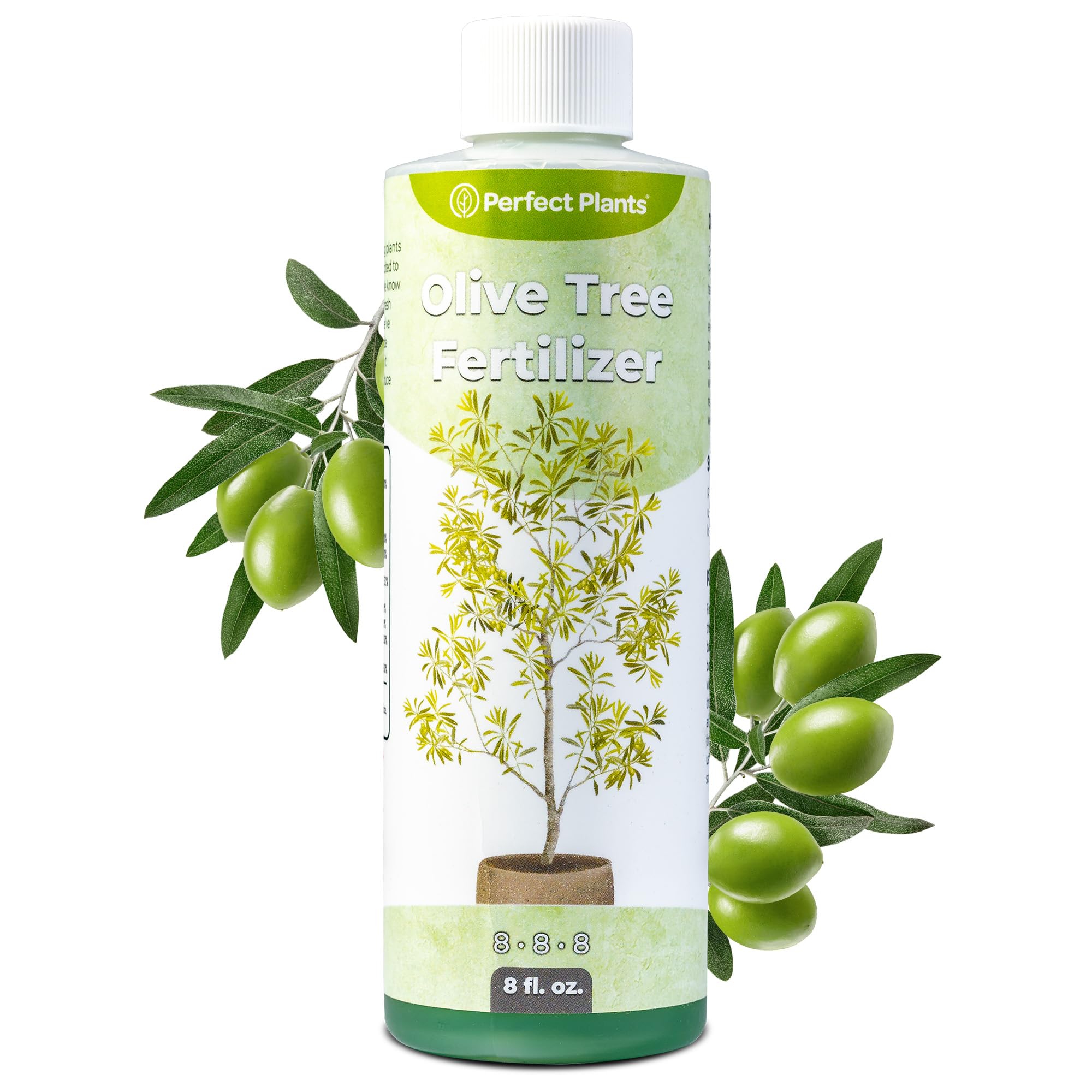 Perfect Plants Liquid Olive Tree Fertilizer
