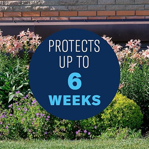 Miniatura 6 de BioAdvanced Cuidado de arbustos Protect & Feed, Gránulos, 10 lb