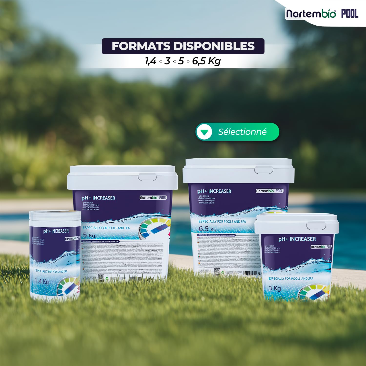 Nortembio pH Plus Piscine - Régulateur de pH pour piscines, 6,5 kg - pH+ Plus Piscine Naturel - Action Rapide et sûre - Une Eau cristalline + eBook Gratuit Contenant des Conseils de Professionnels
