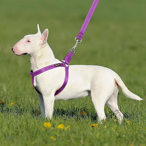 Miniatura 6 de Plutus Pet Arnés para perro, reflectante, ajustable y seguro con hebillas de metal, arnés para perro de fácil paseo para cachorros, perros pequeños,