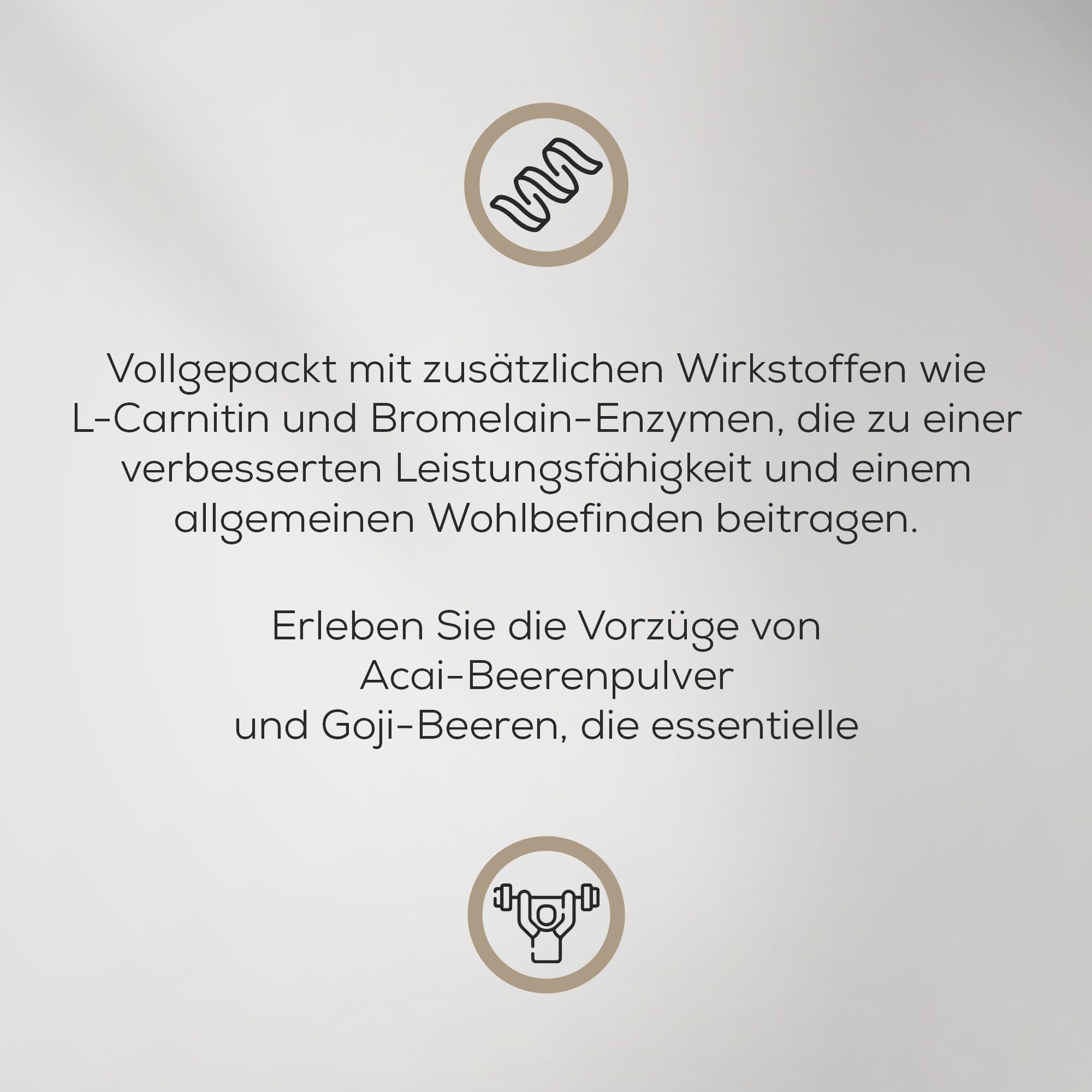 BioTechUSA Diet Shake | Ballaststoffreiches Molkeneiweiß-Getränkepulver