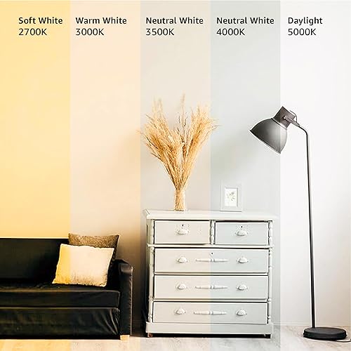 Miniatura 7 de Tienda Basics Bombilla LED A19, equivalente a 60 vatios, eficiencia energética, base estándar E26, blanco suave 2700 K, regulable, vida útil de