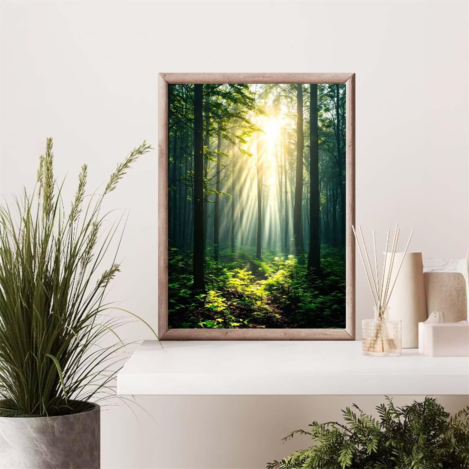 Malen Nach Zahlen Erwachsene Sonnenlicht Wald Malen Nach Zahlen Kinder, DIY Handgemalt Ölgemälde Kit, Mit 3 Pinsel und Hochwertige Acrylfarben Leinwand Basteln, für Home Decor Geschenk 70x90cm w-954