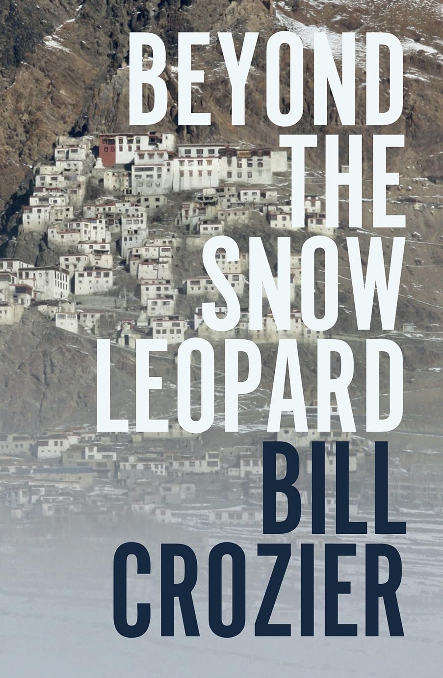 Beyond the Snow Leopard: Travels through the Himalayas, Buddhism, mountaineering and possible paths to enlightenment