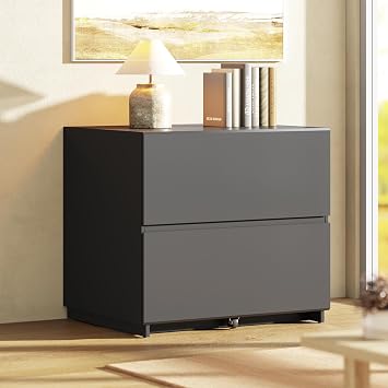 ModernMate Lateral File Cabinet 2 Drawer, 31.5" Wood Filing Cabinet for Home Office and Business, Holds Letter & Legal Hanging Files, Doubles as Printer Stand with Ample Storage, Black
